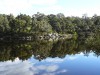 20080722 - Bream Fishing 15